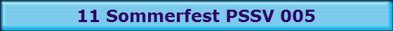 11 Sommerfest PSSV 005