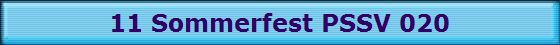 11 Sommerfest PSSV 020