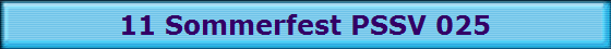11 Sommerfest PSSV 025