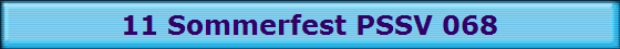 11 Sommerfest PSSV 068