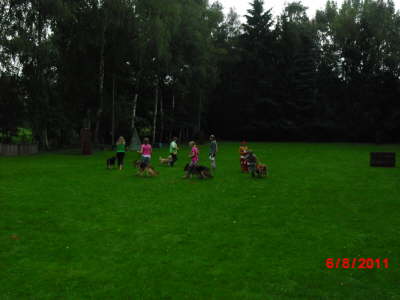 11 Sommerfest PSSV 034