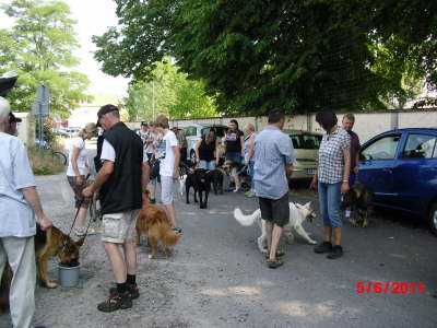 11 Wanderung mit Hund 022