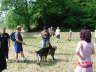 11 Wanderung mit Hund 026