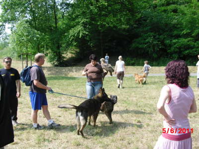 11 Wanderung mit Hund 026