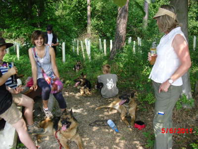 11 Wanderung mit Hund 031