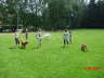 11 Wanderung mit Hund 048